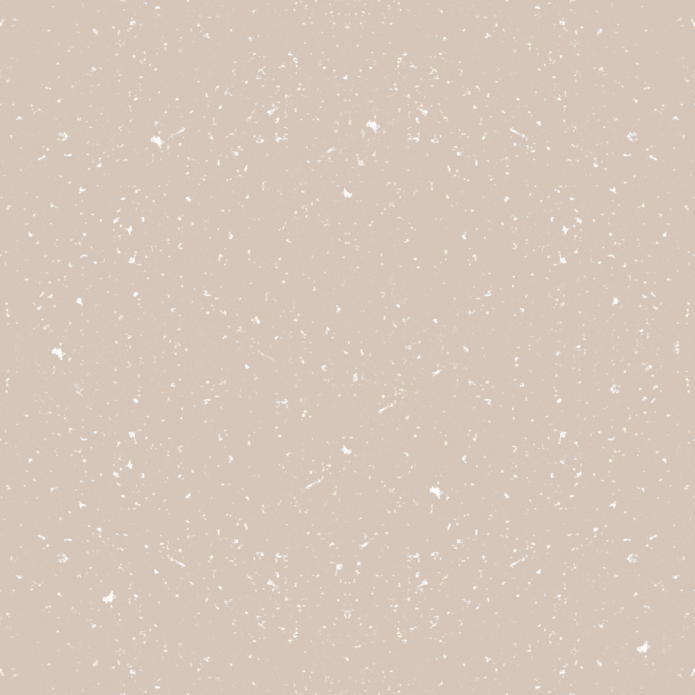 布兰雪